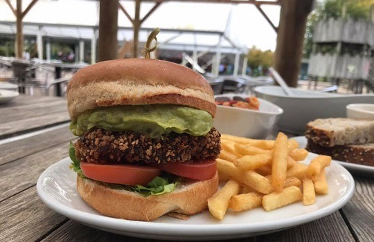Veg burger 540x350