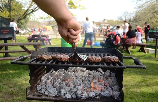 blair drummond safari park food