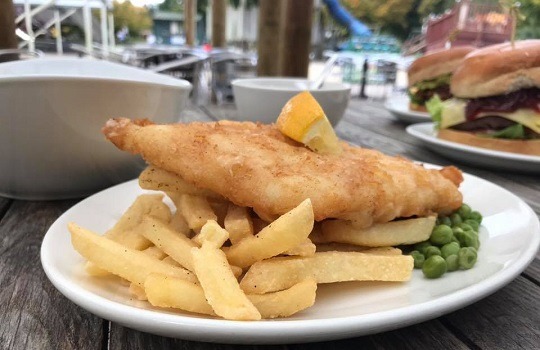 fish & chips 540x 350