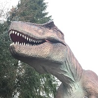 dino 200x200