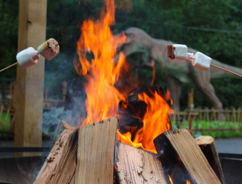 fire-pit