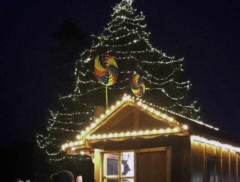 christmas-tree